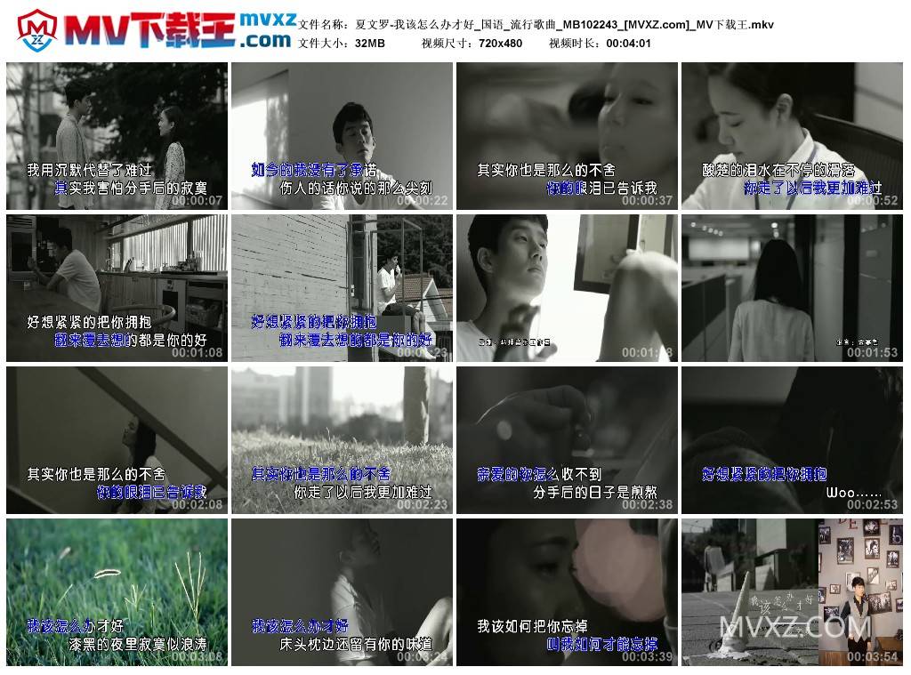 夏文罗-我该怎么办才好_国语_流行歌曲_MB102243